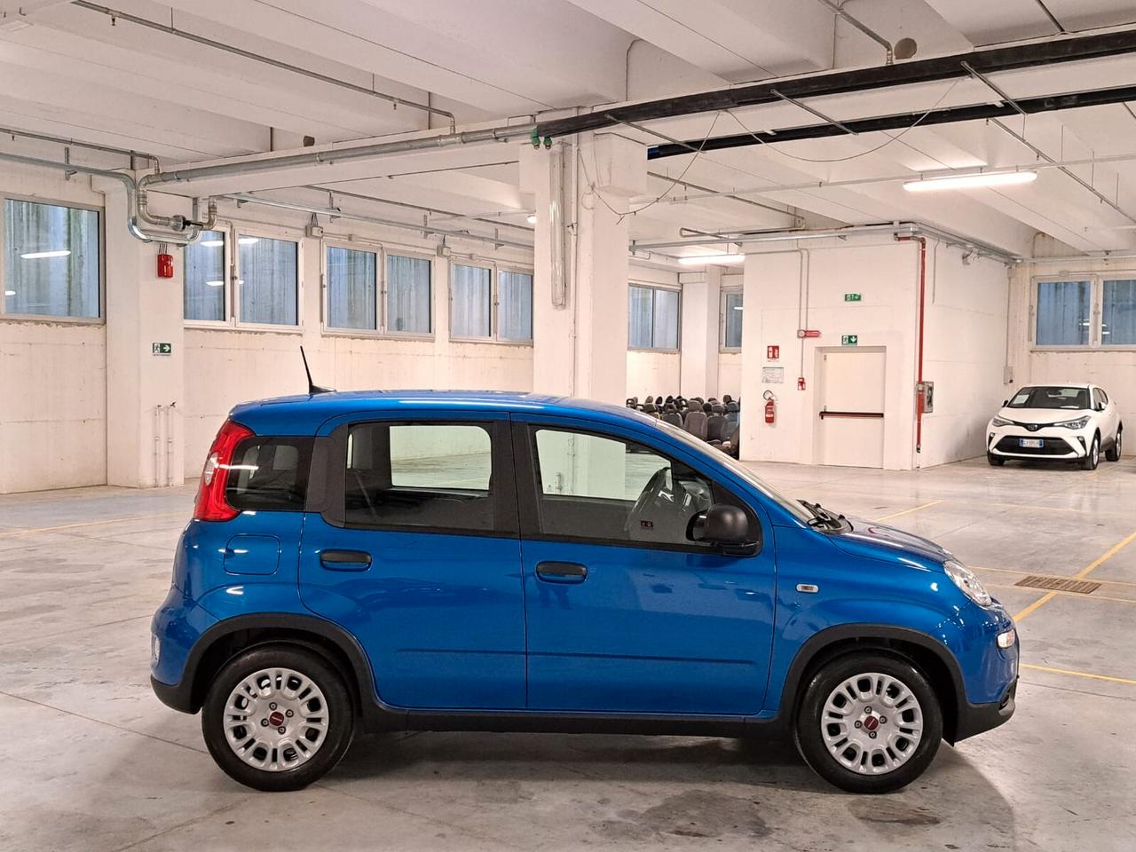 Fiat Panda 1000 FireFly Hybrid 70CV Panda 5 Porte Km. Zero