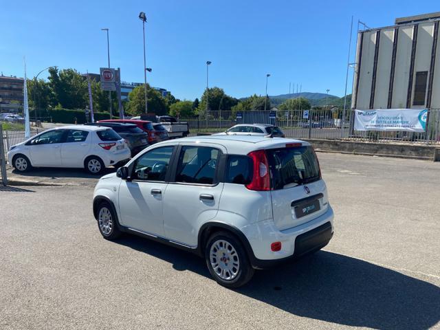 FIAT Panda *PROMO* 1.0 FireFly S&S Hybrid