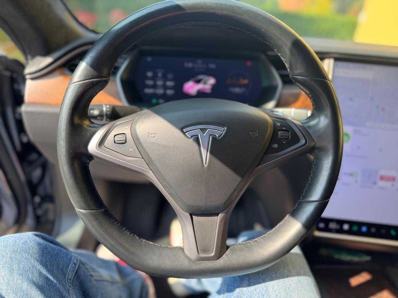 Tesla Model S Long Range Plus #7245