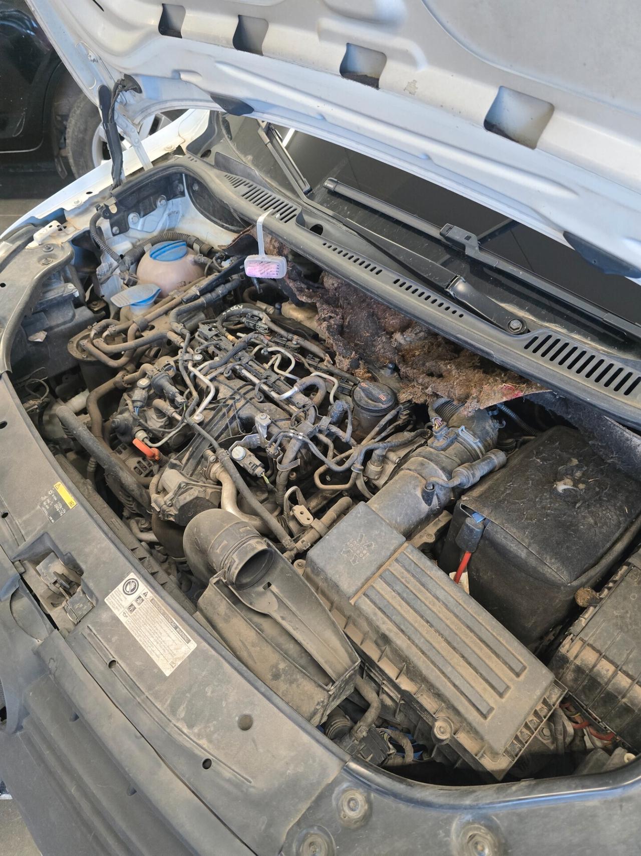 Volkswagen Caddy 2.0 TDI 110 CV 4Motion Van