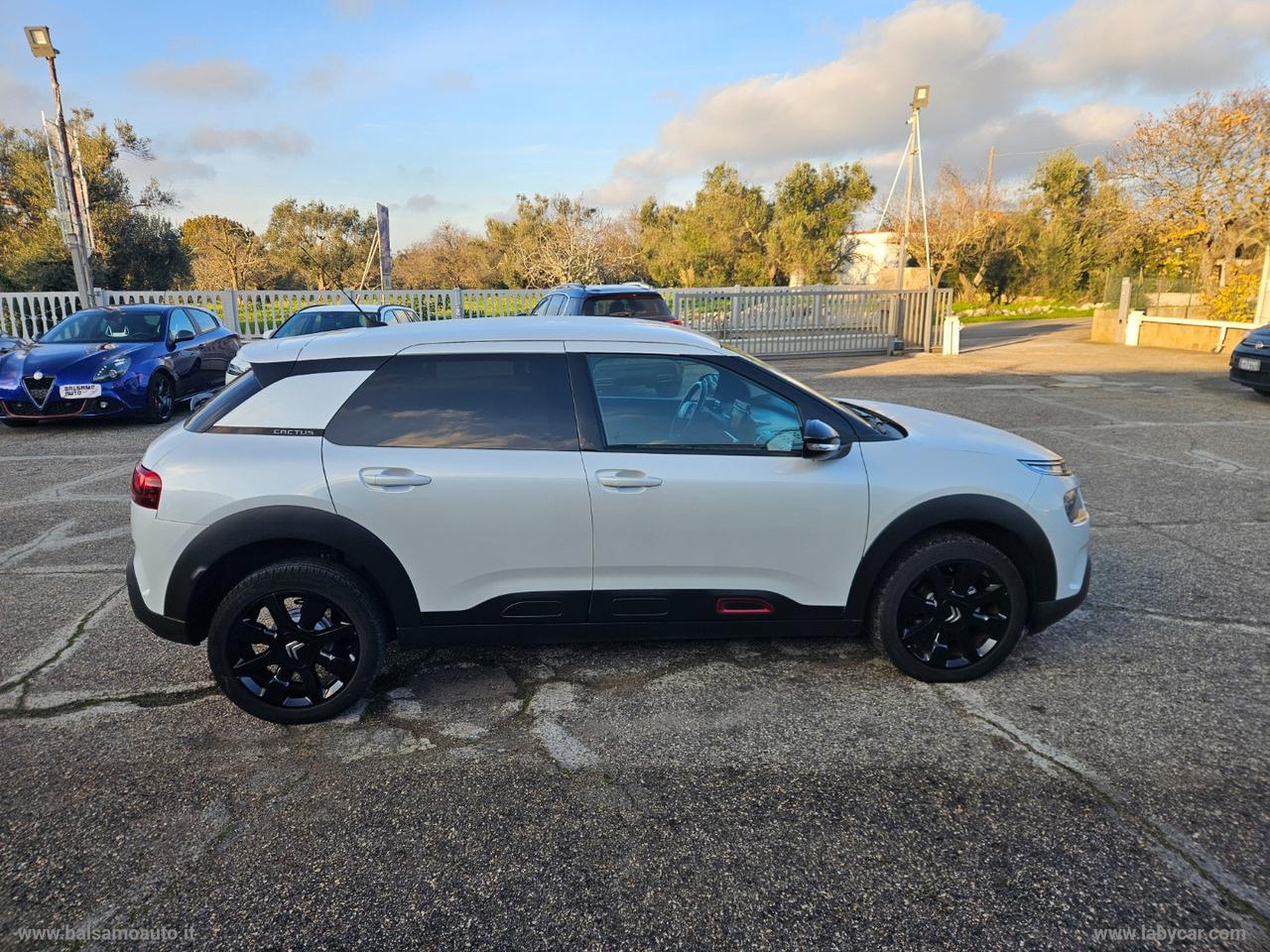 CITROEN C4 Cactus BlueHDi 100 S&S Shine N1
