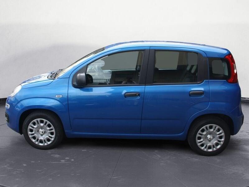 FIAT Panda Panda 1.0 FireFly S&S Hybrid Pop