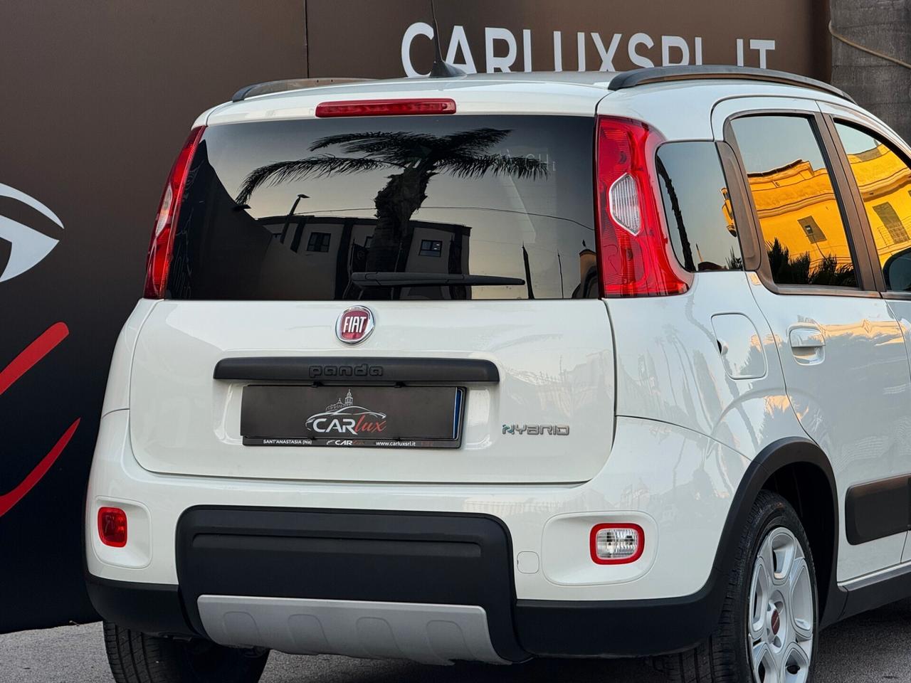 Fiat Panda 1.0 Firefly Hybrid S 69CV S&S | IVA ESP