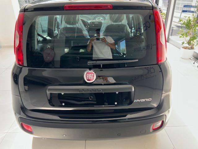 FIAT Panda 1.0 FireFly S&S Hybrid Icon tua da ?149,,00