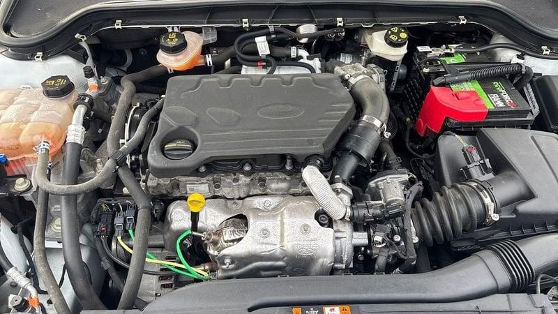 Ford Focus Active SW Active Wagon 1.5 EcoBlue 120cv Co-pilot e-Sh