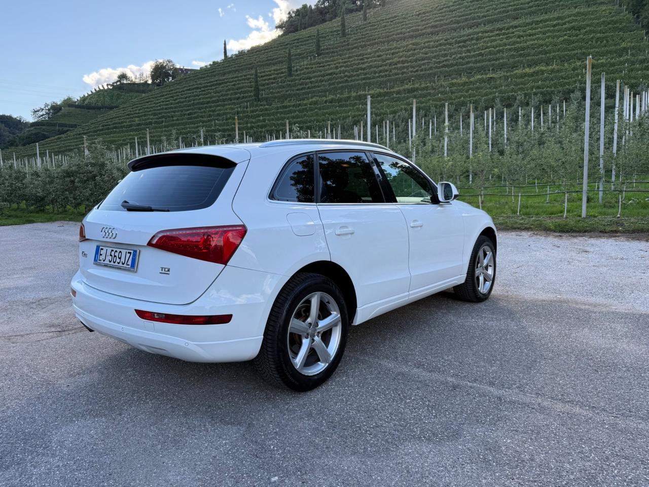 Audi Q5 2.0 TDI 170 CV quattro S tronic Advanced Plus