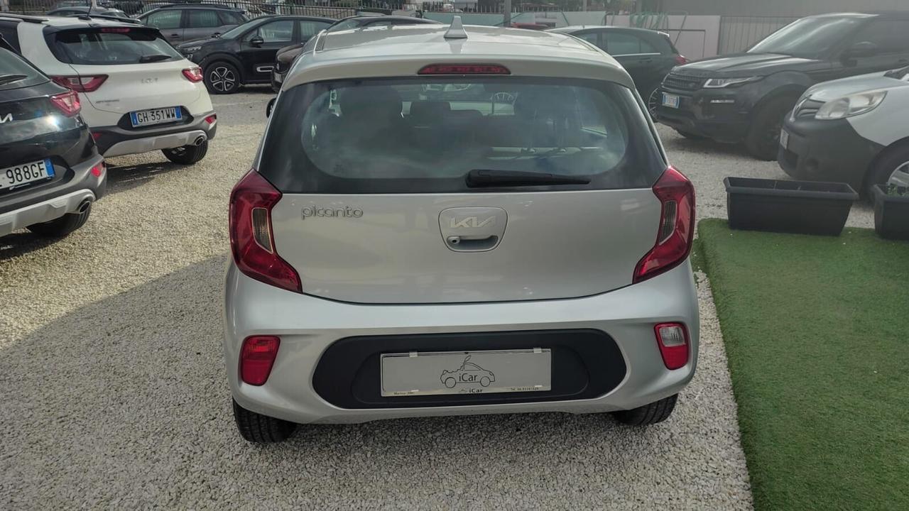 Kia Picanto 1.0 12V 5 porte Urban