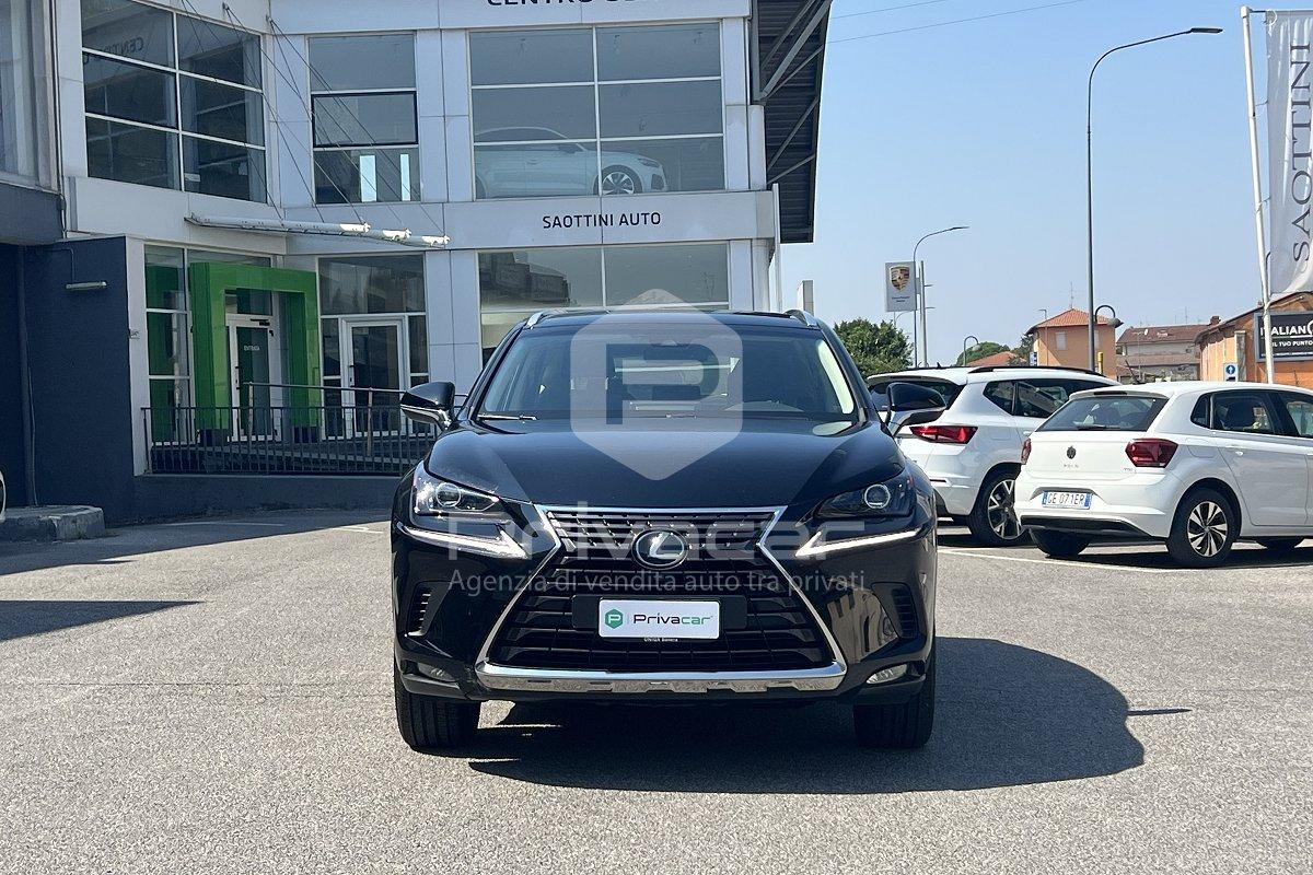 LEXUS NX Hybrid 4WD Business