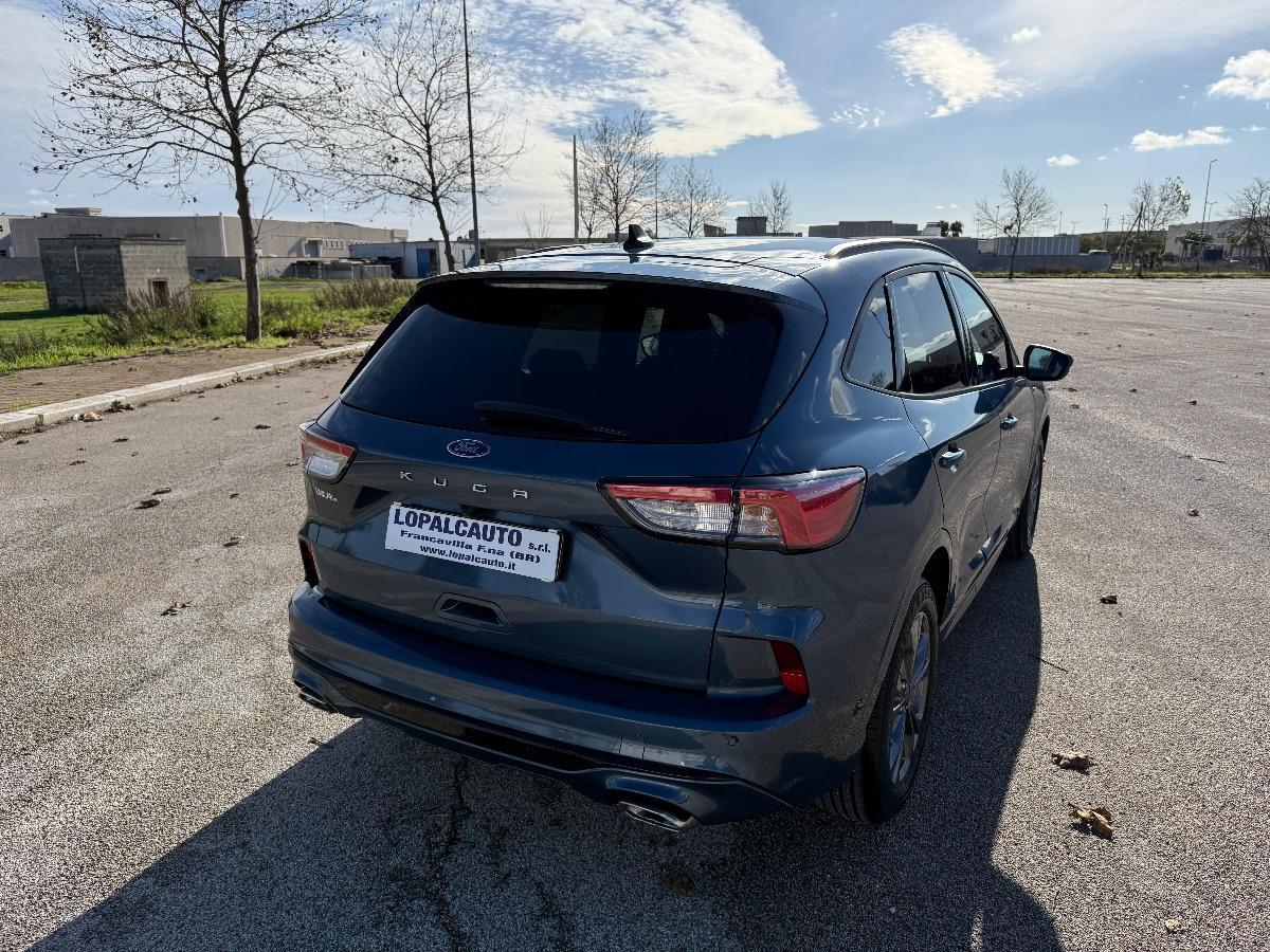 FORD KUGA 1.5 Ecoblue 120 c.v. 2wd ST- Line automatica