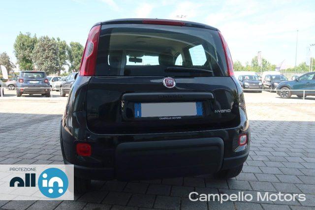 FIAT Panda Panda 1.0 70cv Hybrid Panda MY24