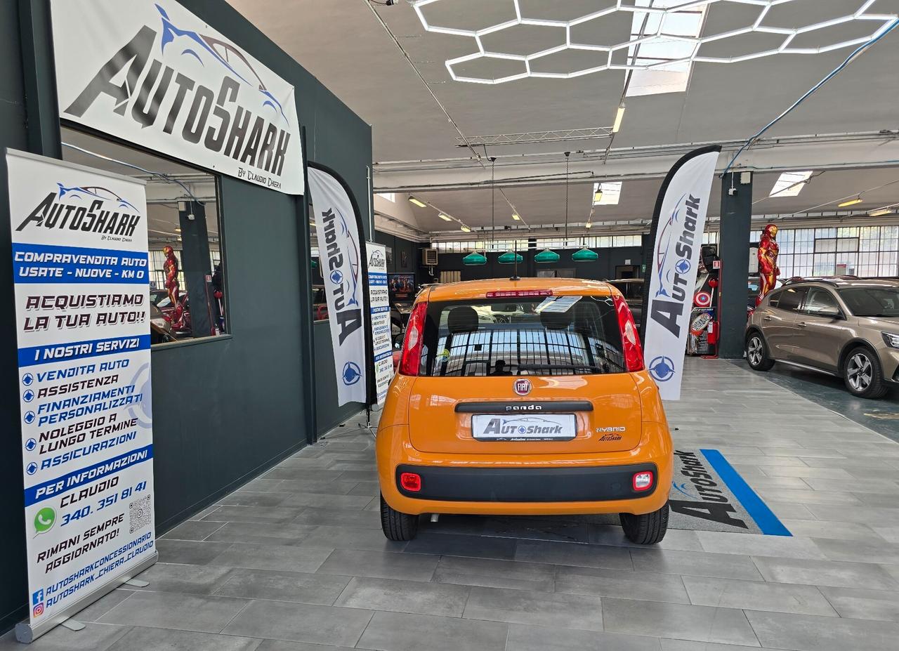 FIAT NEW PANDA CITY LIFE HYBRID 70CV 2020 XNEOPATENTATI