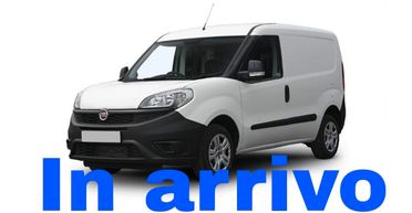 Fiat Doblo Doblò 1.6 Natural Power PC-TN Cargo Business
