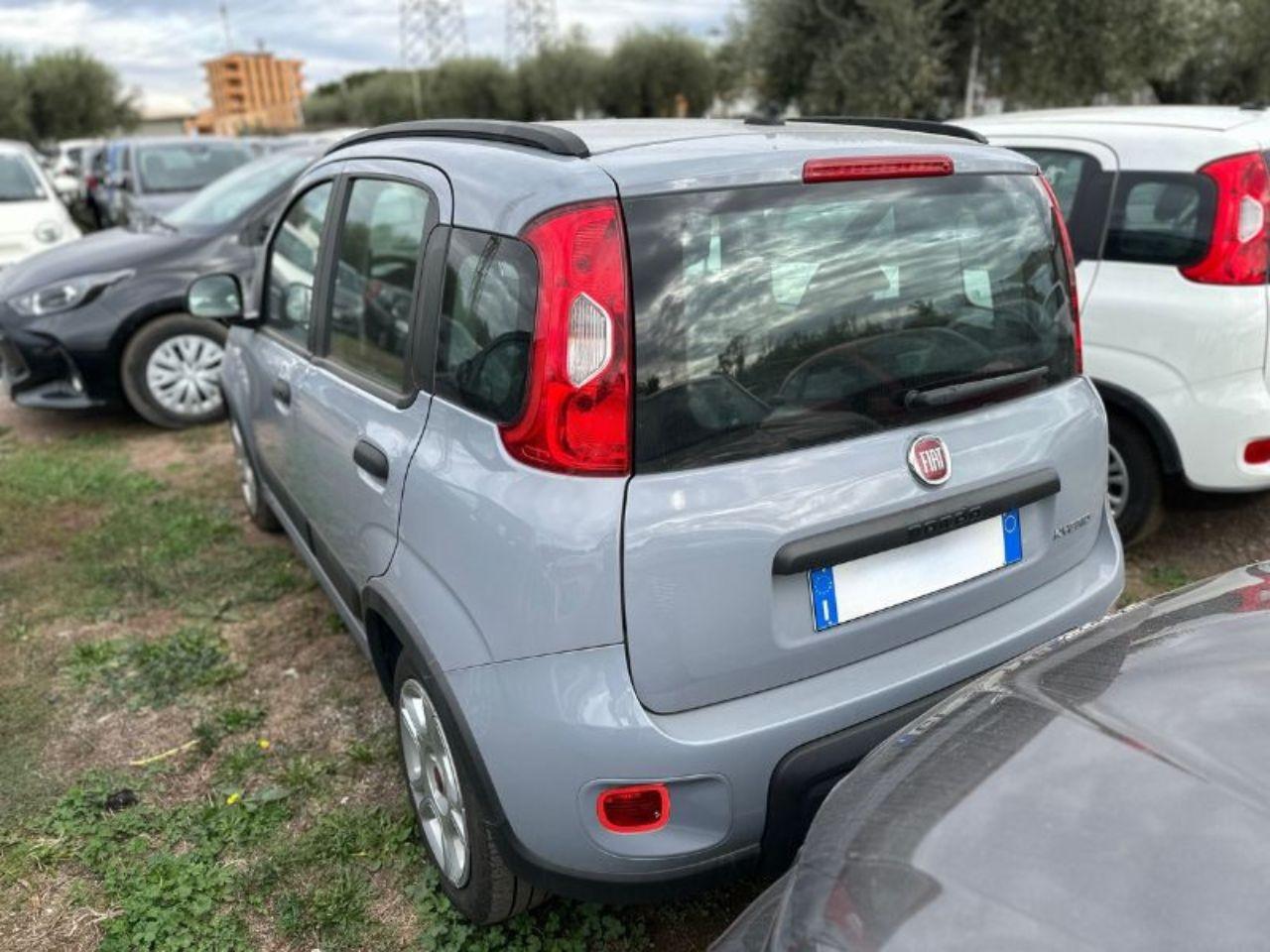 FIAT Panda III 2021 - Panda 1.0 firefly hybrid City Life s&s 70cv 5p.ti