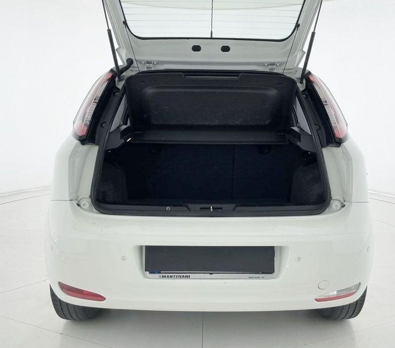 FIAT Punto Punto 1.4 8V 5 porte Natural Power Lounge