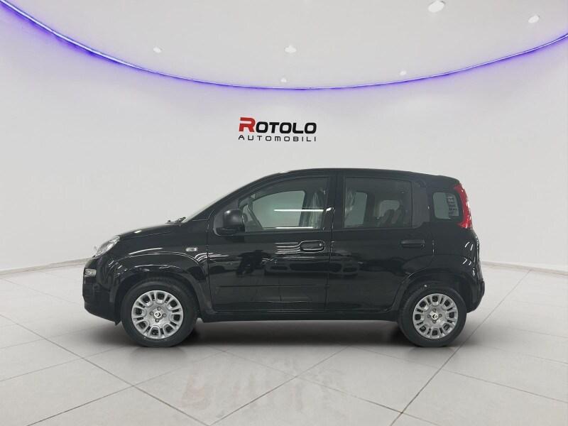 FIAT Pandina Pandina 1.0 FireFly 65 CV Hybrid Icon