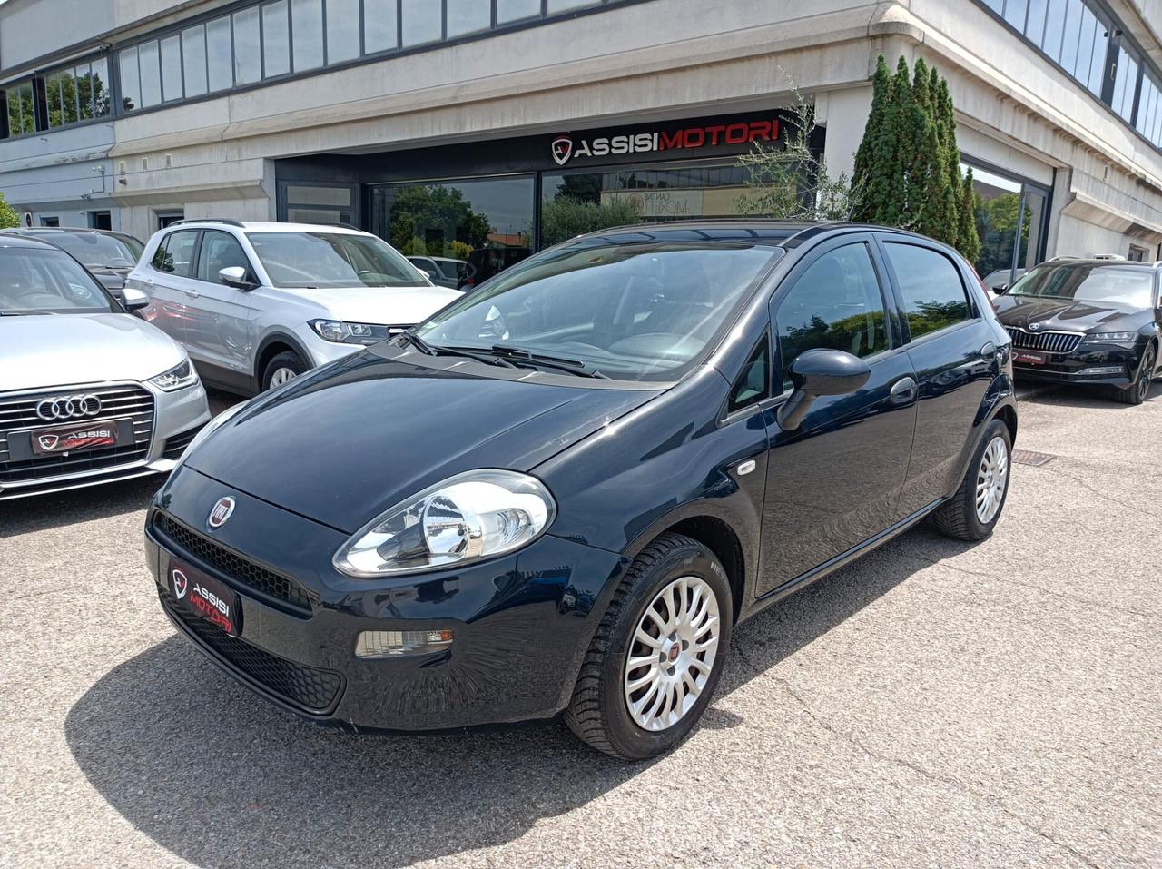 Fiat Punto 1.2 8V 5 porte Street