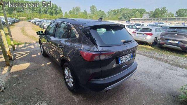 FORD Kuga 2.0 EcoBlue MHEV 150CV 2WD Titanium TG : GG252WT