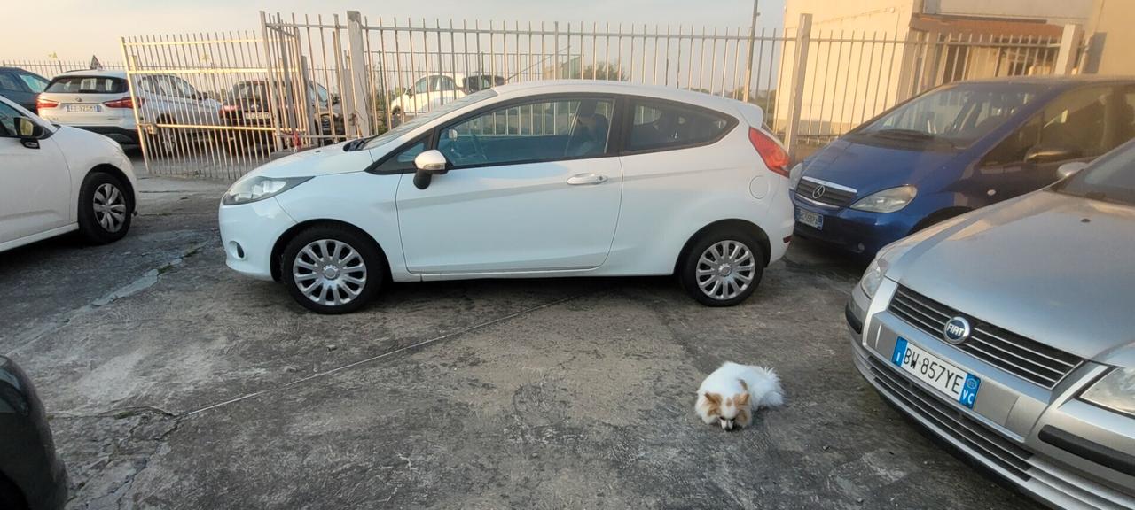 Ford Fiesta NEOPATENTATA UNICO PROPRIETARIO 1.2 60CV 3p. Tit.