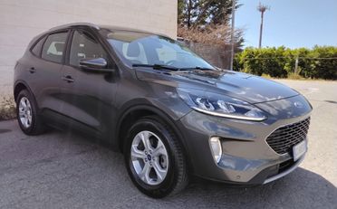 Ford Kuga 1.5 EcoBlue 120 CV aut. 2WD Titanium Business