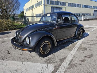 VOLKSWAGEN Maggiolino Special Bug