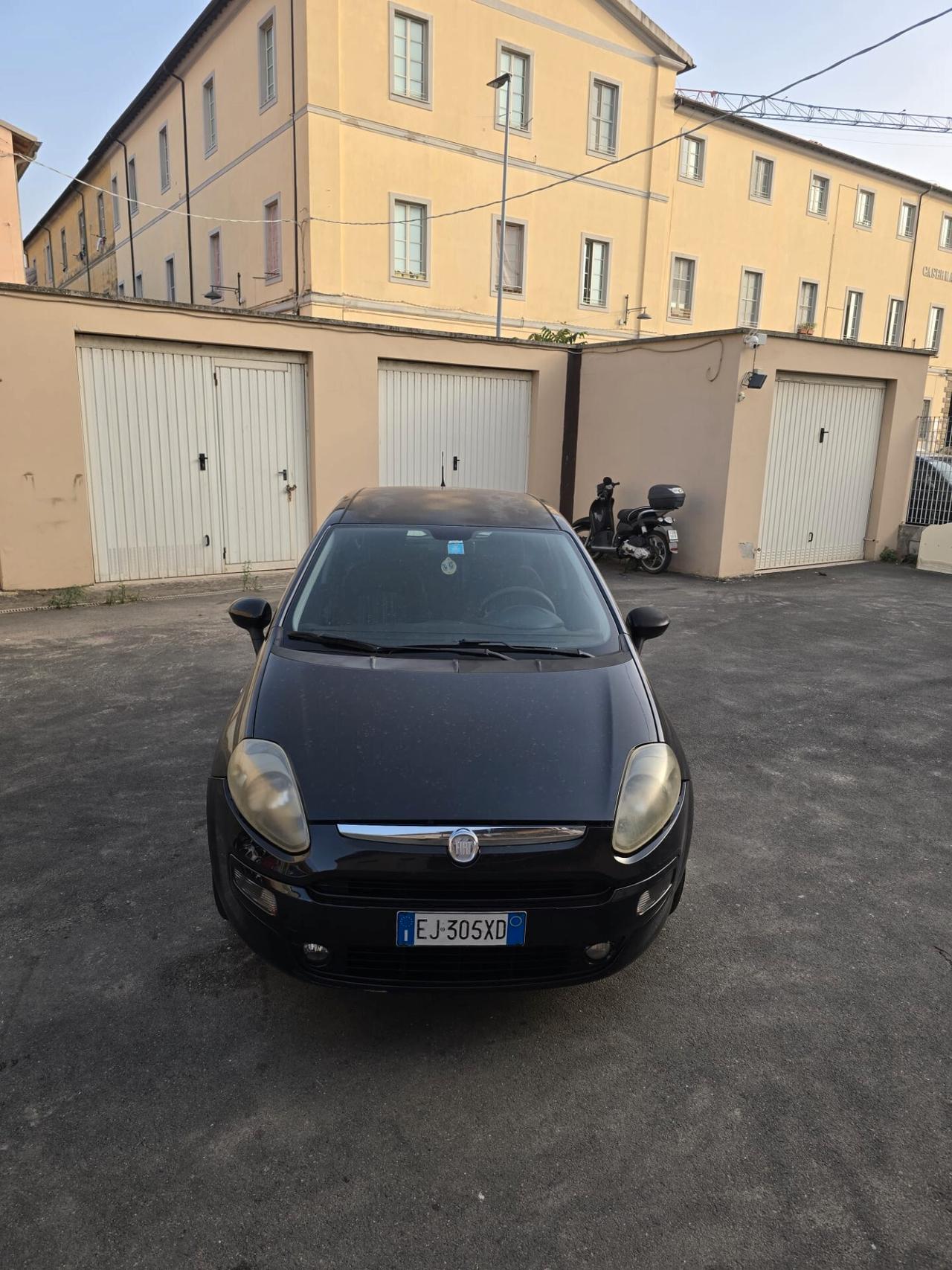 Fiat Punto 1.2 8V 5 porte dynamyc neopatentati