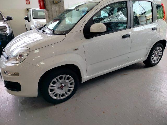 FIAT Panda 1.2 Easy km 9.000