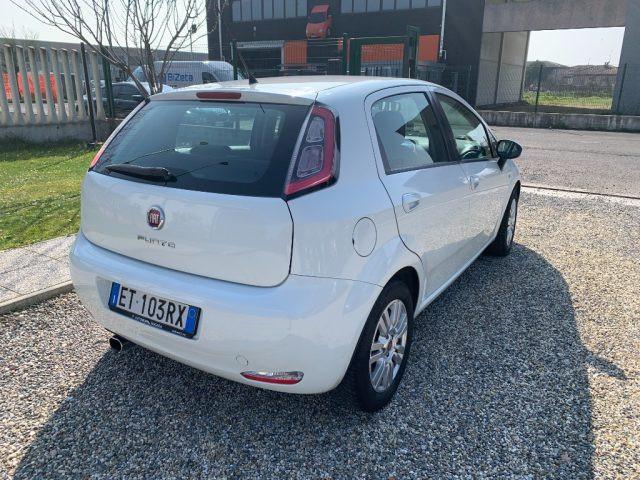 FIAT Punto 1.3 MJT II 75 CV 5 porte Lounge