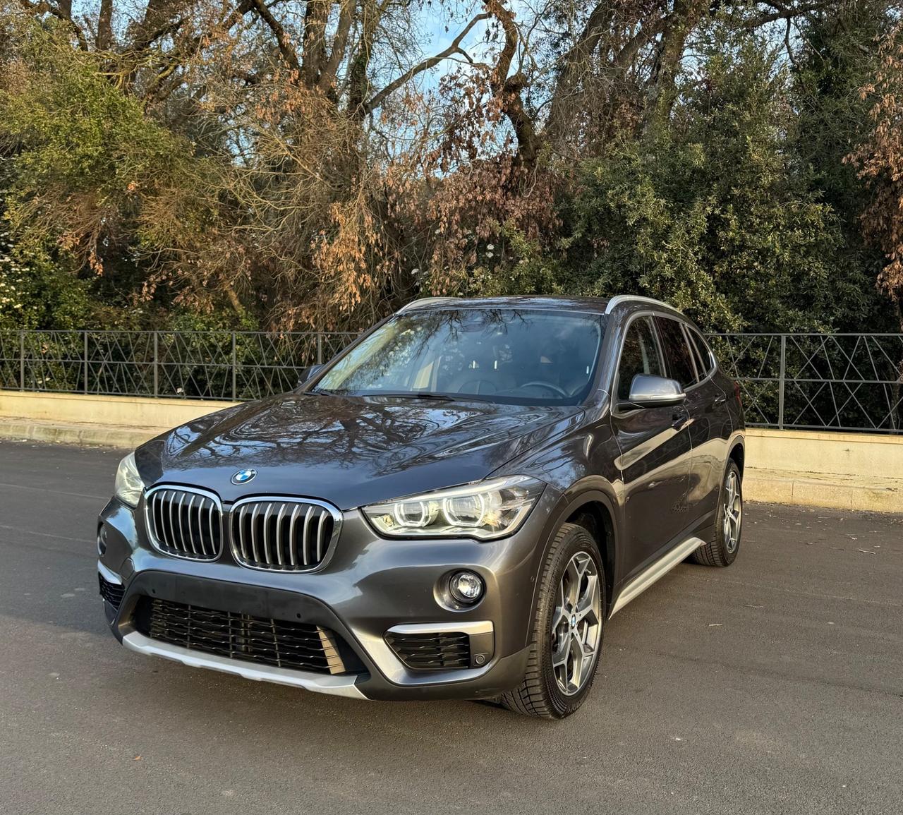 Bmw X1 xDrive20d xLine Anno 2017