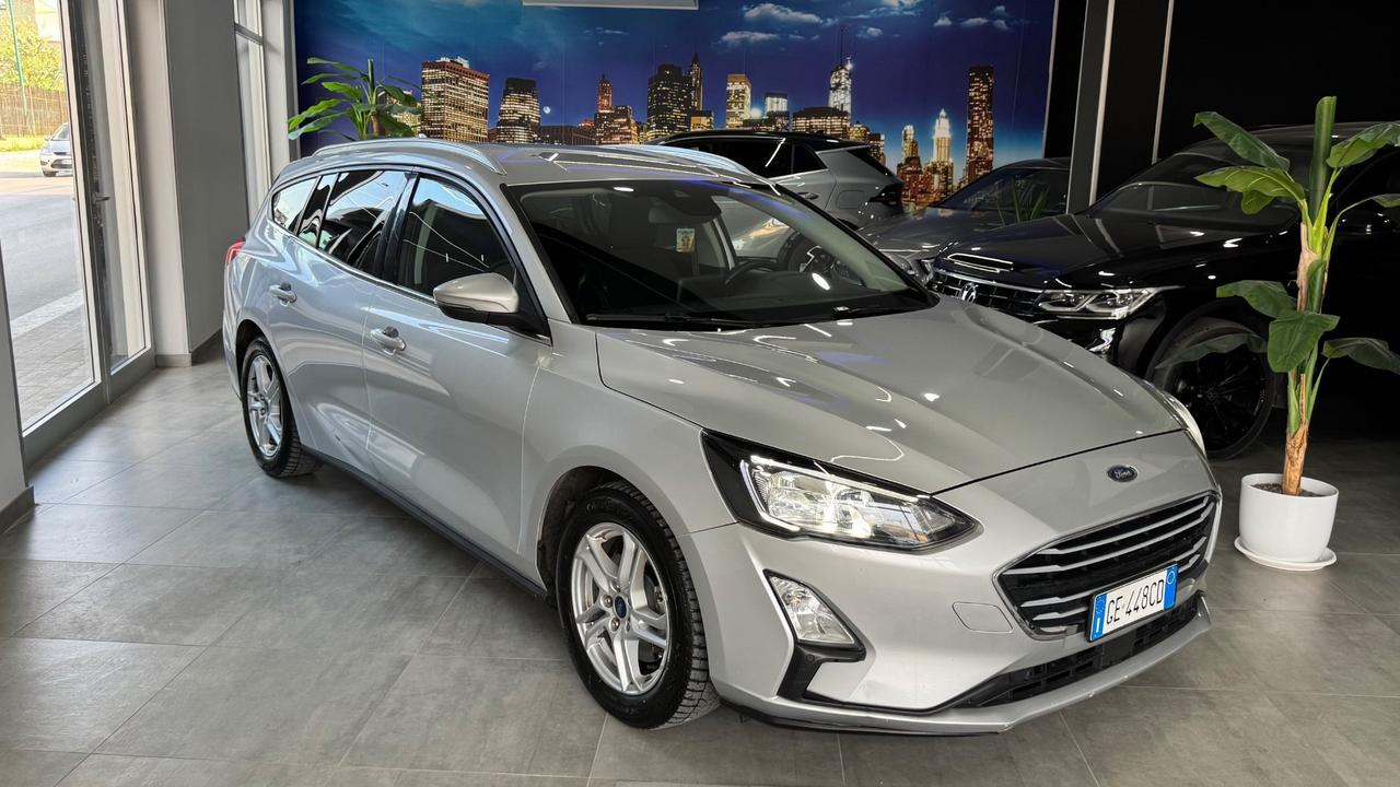 Ford Focus 1.5 EcoBlue 120 CV SW Business-2021