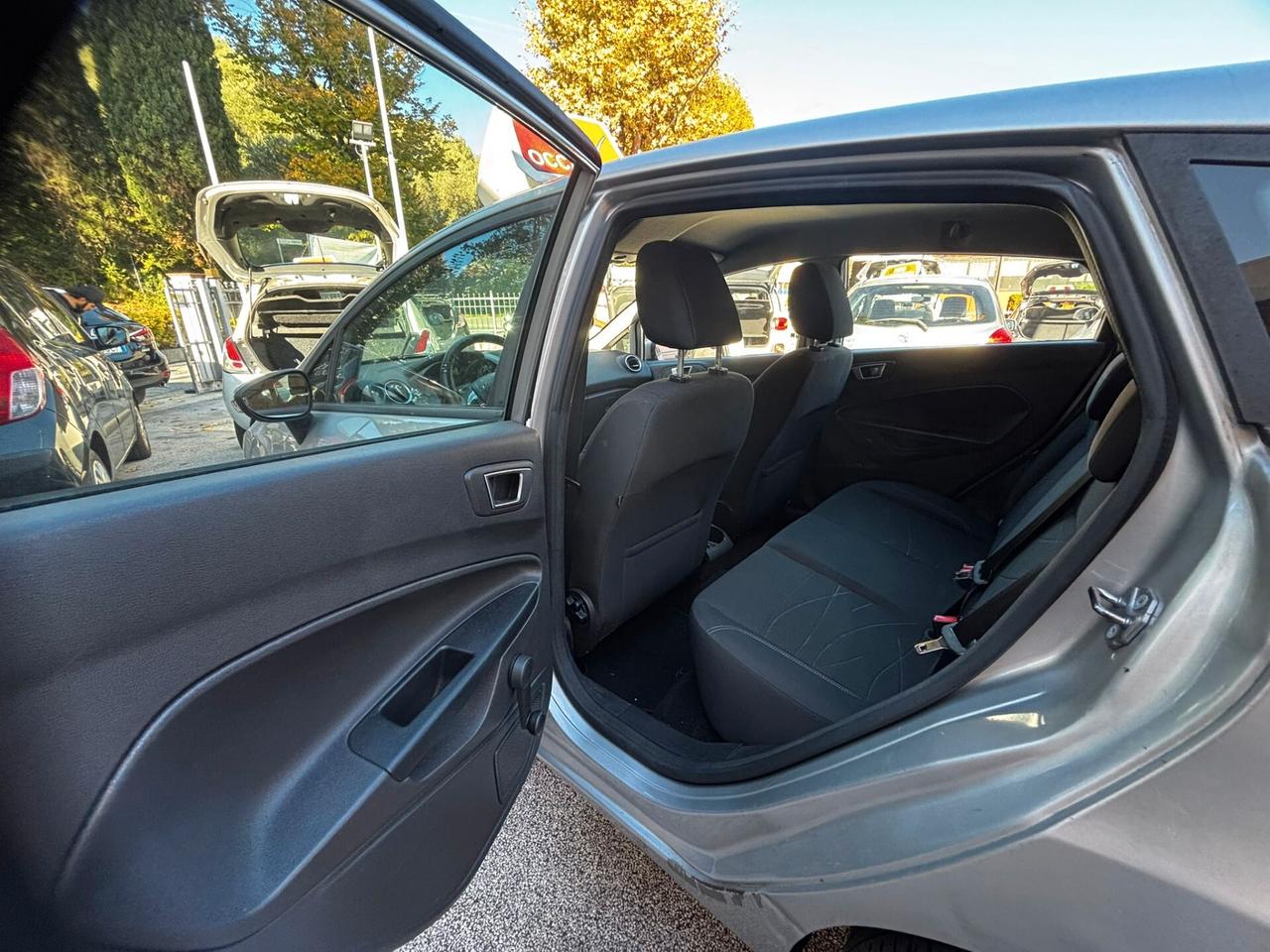 Ford Fiesta 1.4 5 porte Bz.- GPL Black & White Edition
