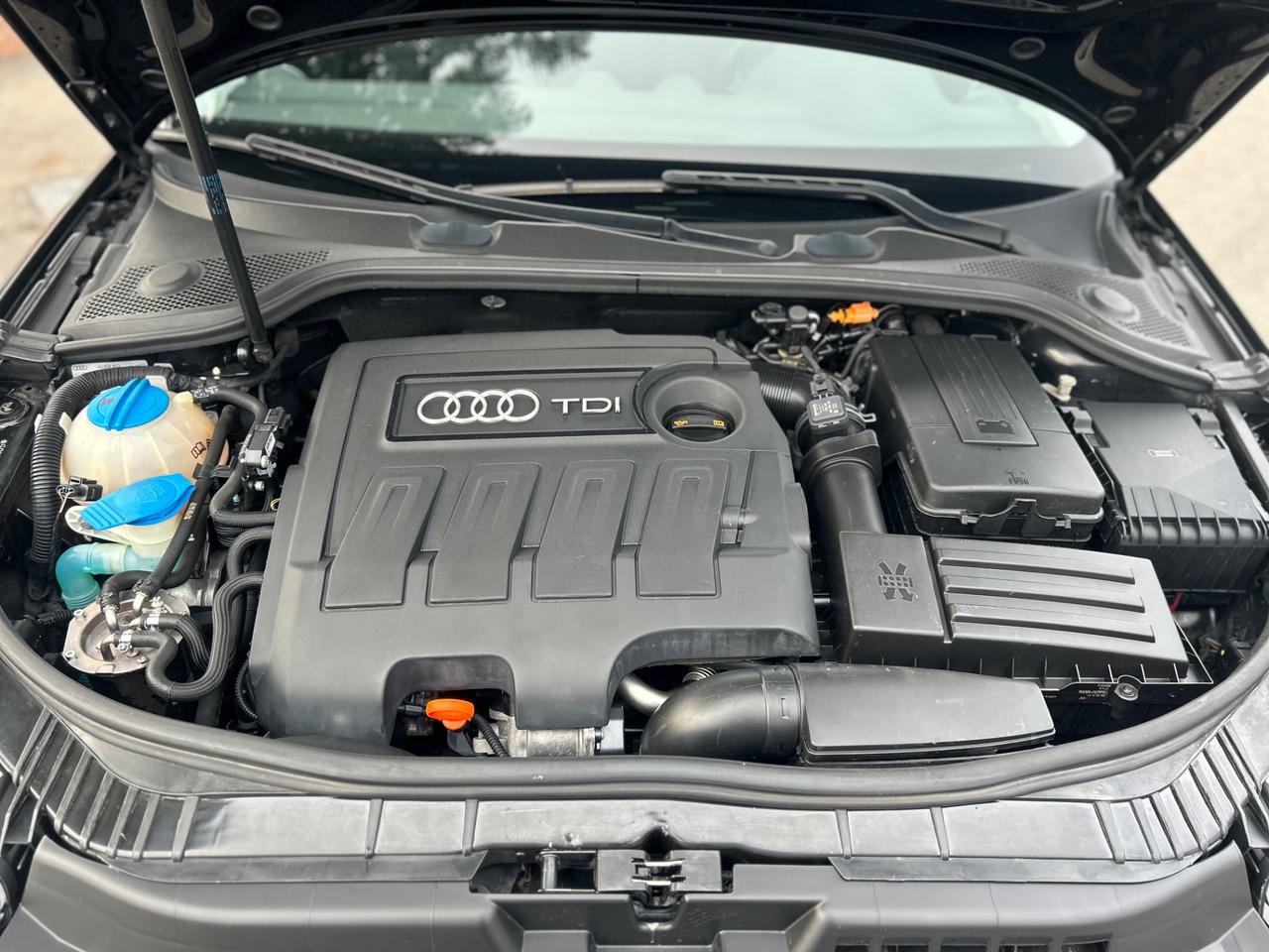 Audi A3 SPB 1.6 TDI 90 CV Ambiente