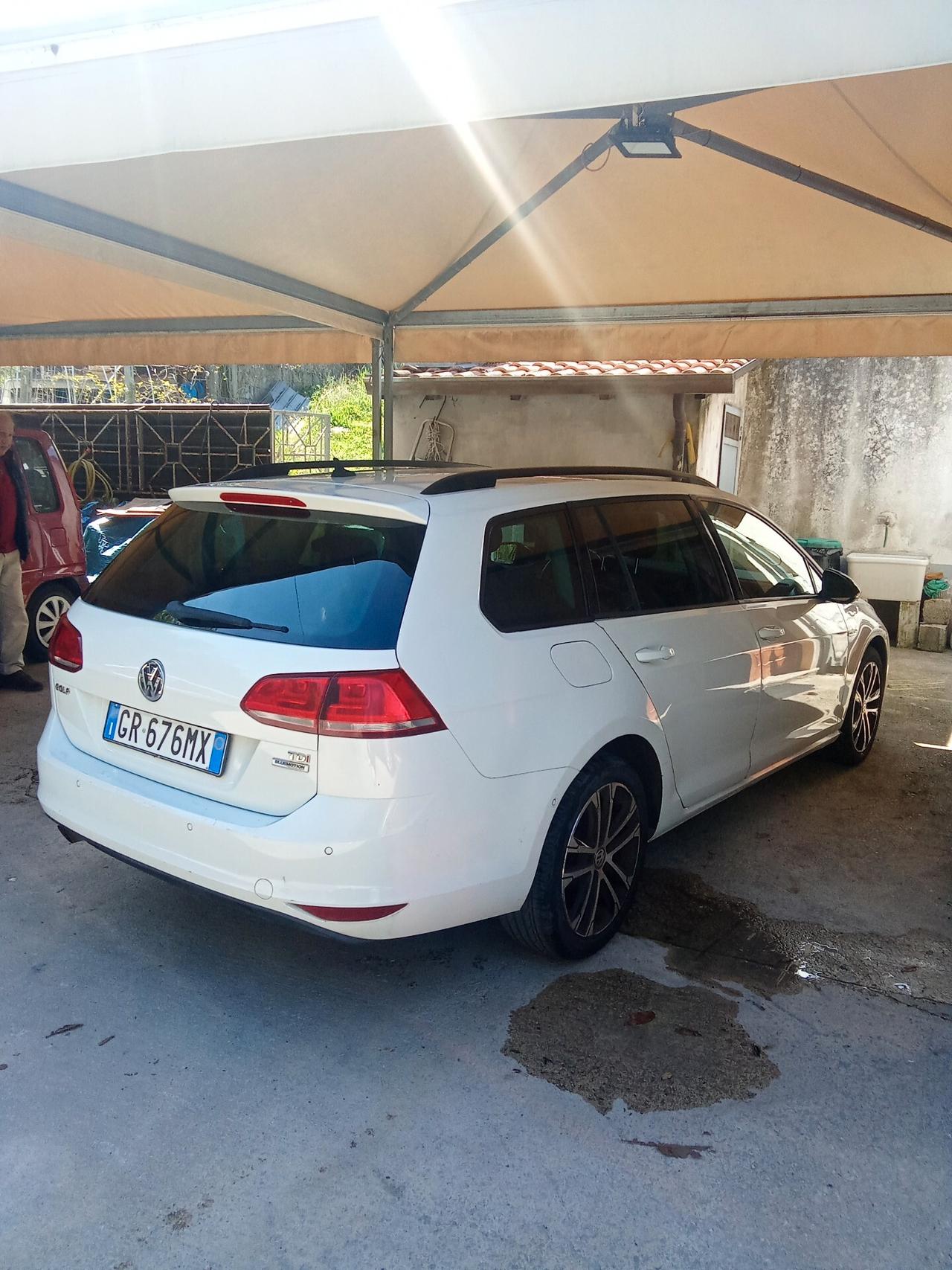 Golf Variant 1.6 TDI 110 CV DSG 12/015