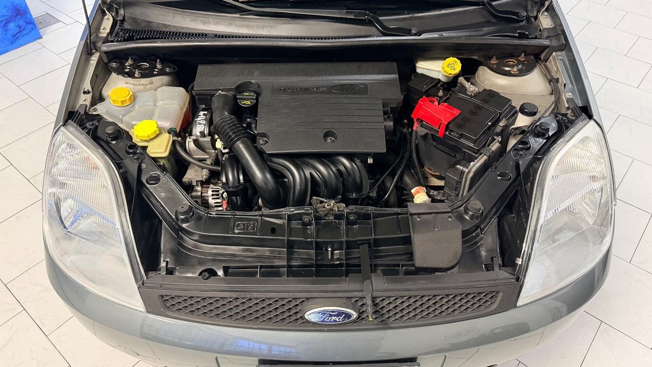 Ford Fiesta NEOPATENTATI