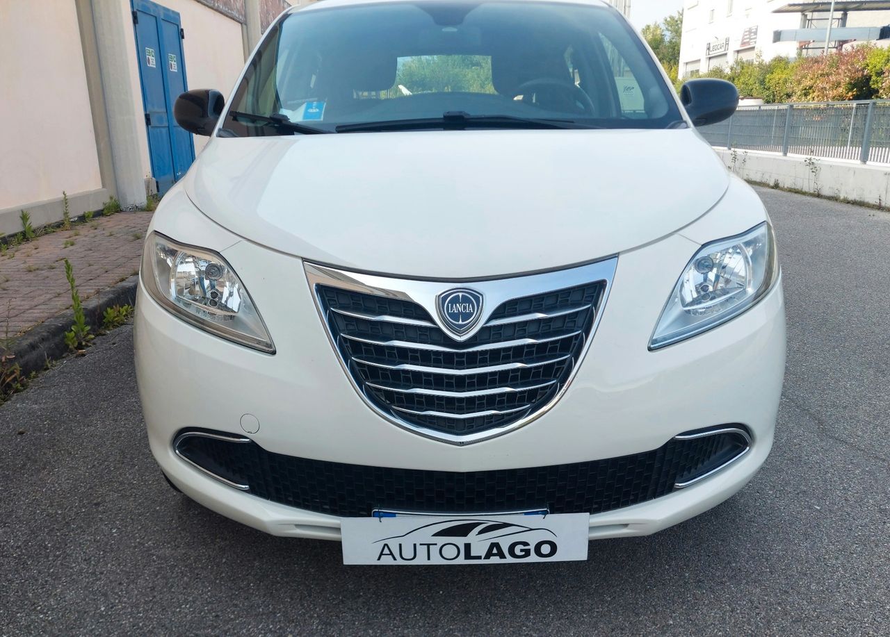 Lancia Ypsilon 1.2 69 CV 5 porte Gold..NEOPATENTATI..