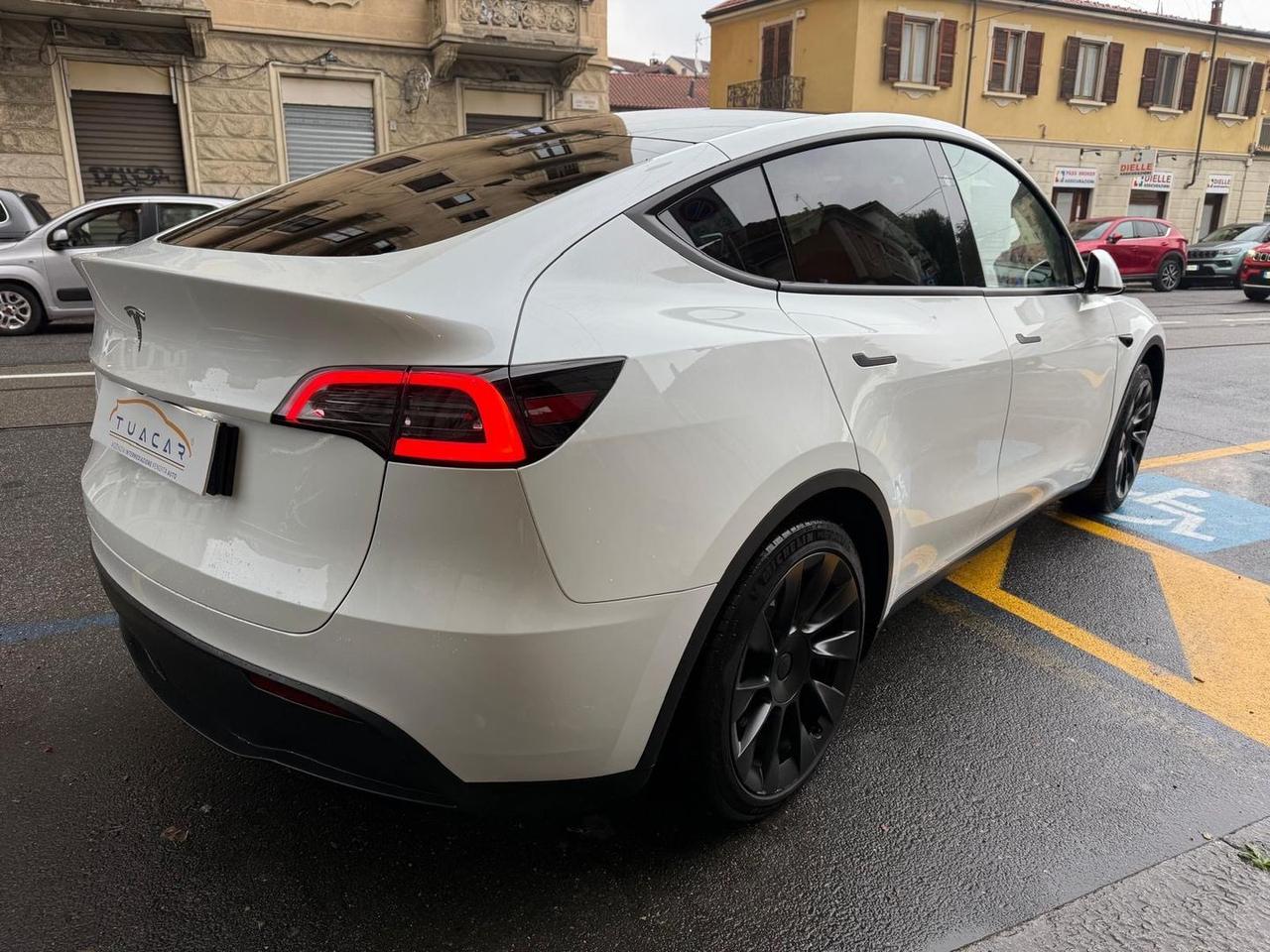 Tesla Model Y Standard Range / Standard #7392