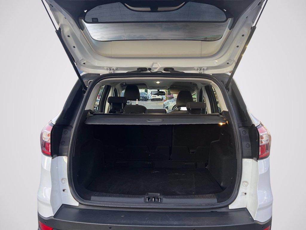 FORD Kuga 1.5 TDCI 120 CV S&S 2WD Business del 2017