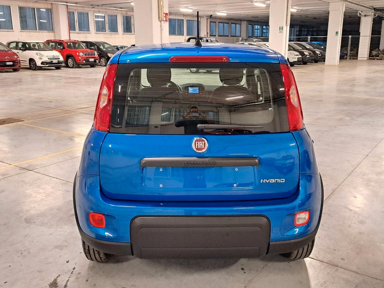 Fiat Panda 1000 FireFly Hybrid 70CV Panda 5 Porte Km. Zero