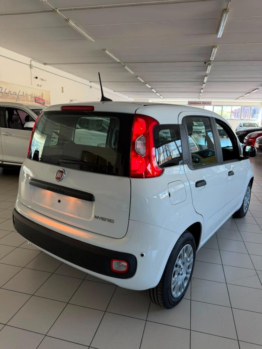 FIAT - Panda - 1.0 FireFly S&S Hybrid Pandina