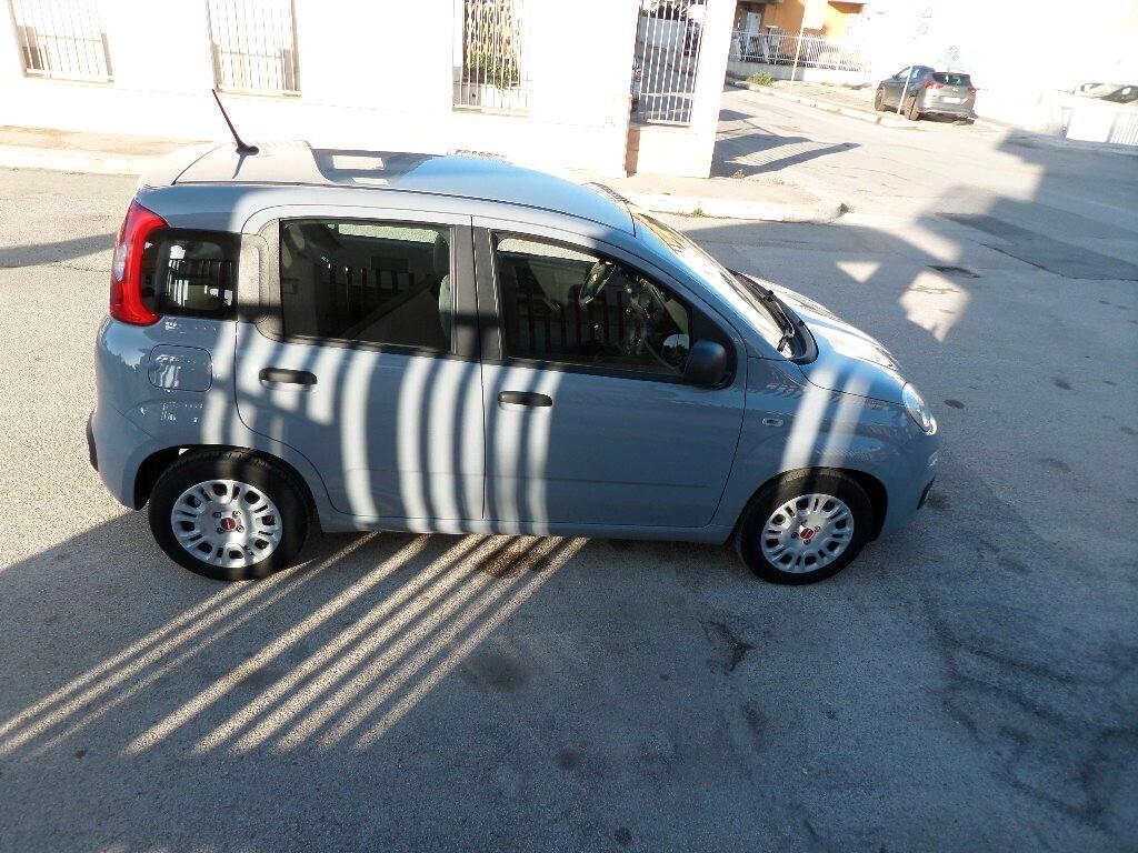 FIAT PANDA 1.0 FIREFLY HYBRID EASY - 5° Posto-Mp3-City
