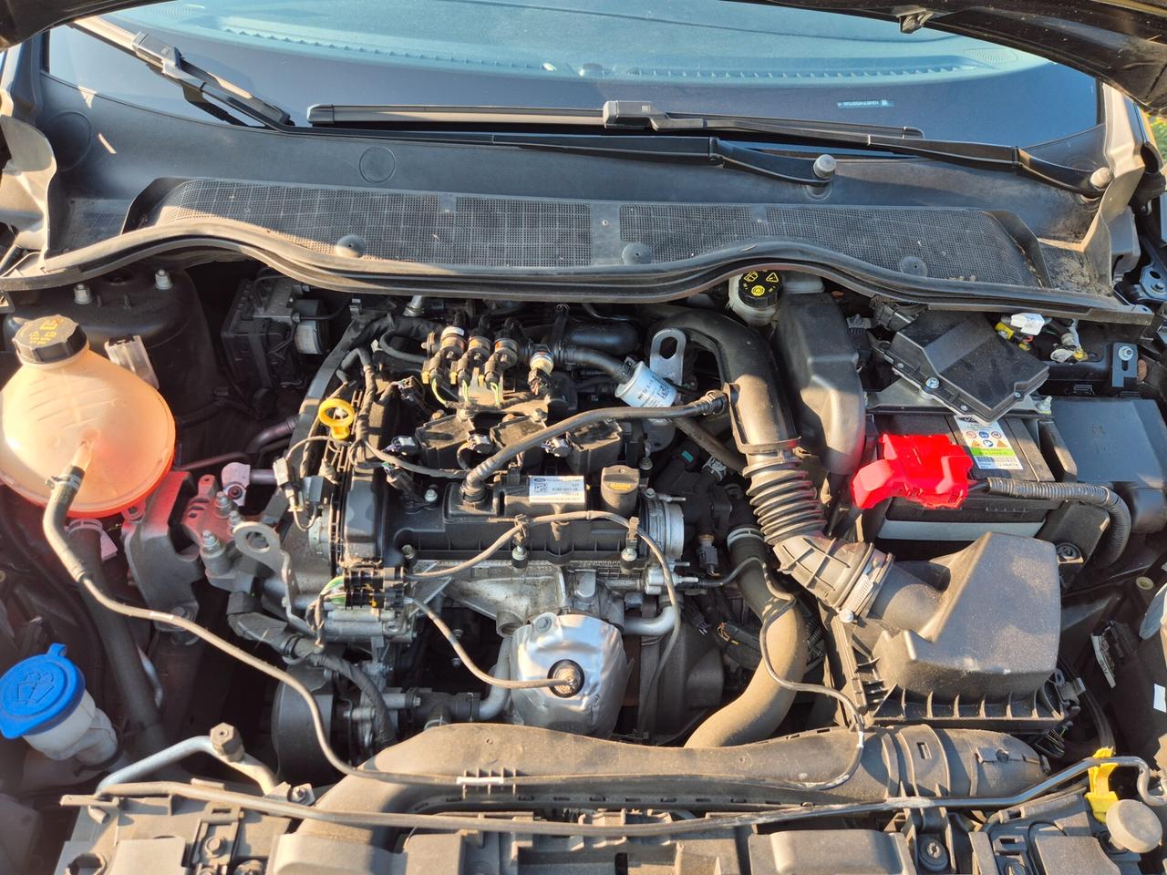 Ford Fiesta 1.1 75 CV GPL 5 porte Titanium