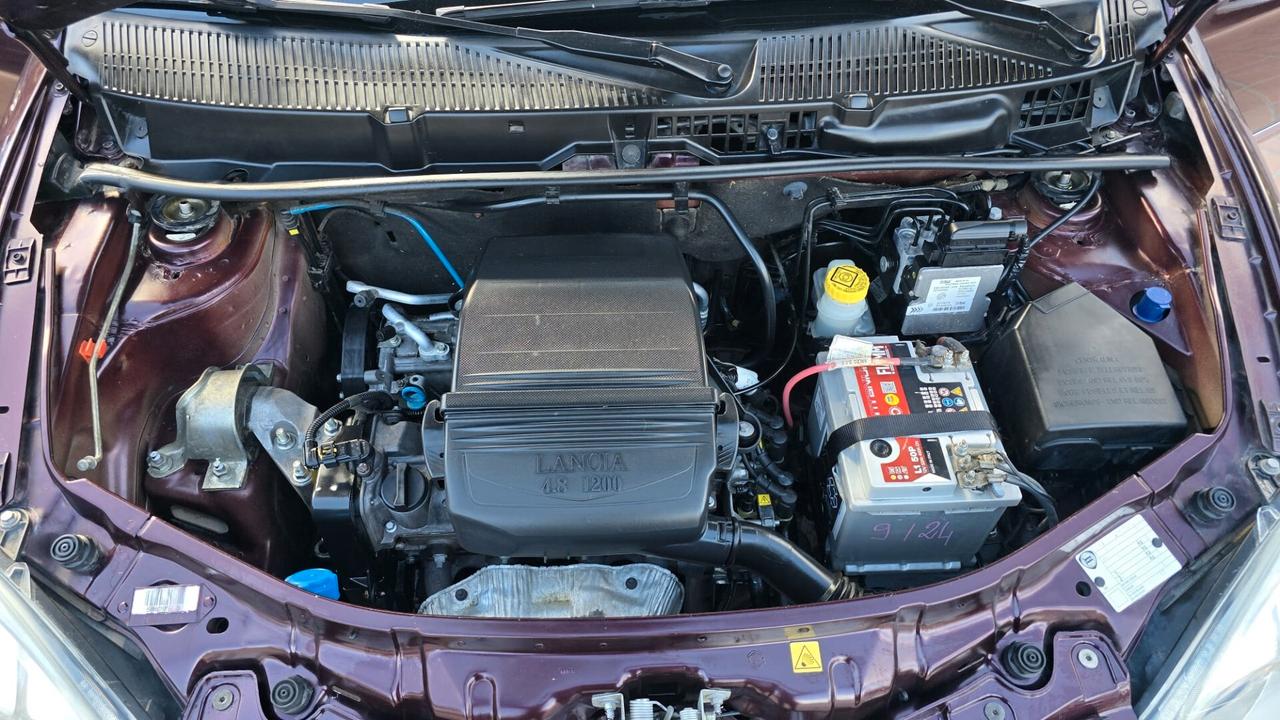 Lancia Ypsilon 1.2 Oro Bianco