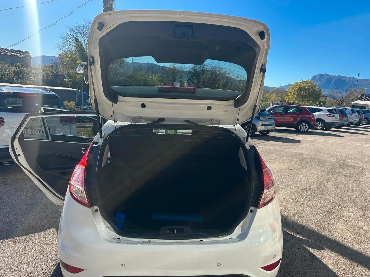 Ford Fiesta 1.5 TDCi 75CV 5 porte Black & White Edition NEOPATENTATI