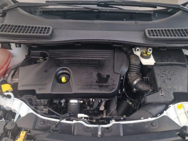 FORD Kuga 2.0 TDCI 120 CV S&S 2WD Powershift Business