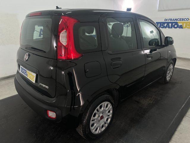 FIAT Panda 1.0 firefly hybrid s&s 70cv