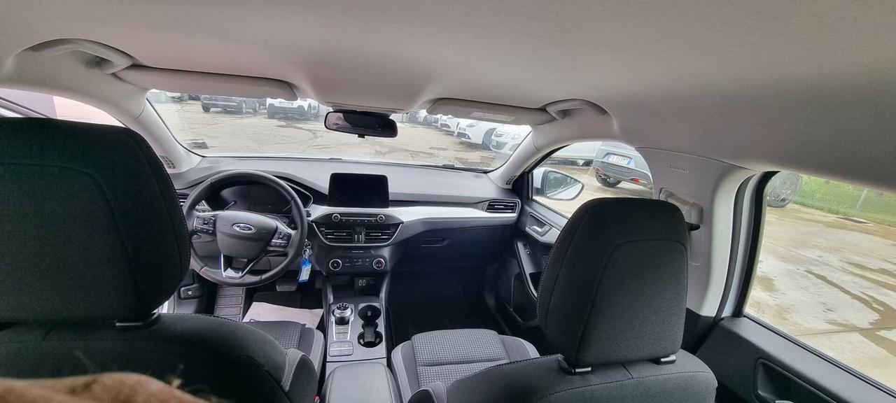 Ford Focus 1.5 EcoBlue 120 CV SW Business