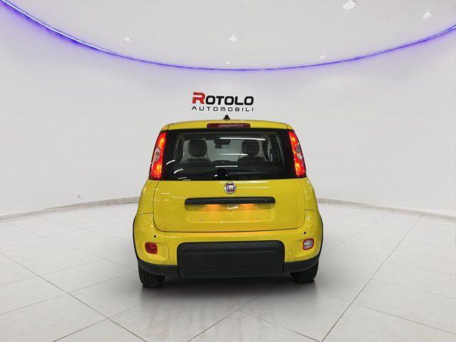 FIAT Panda 1.0 FireFly S&S Hybrid ADAS PROMO CAR SERENITY