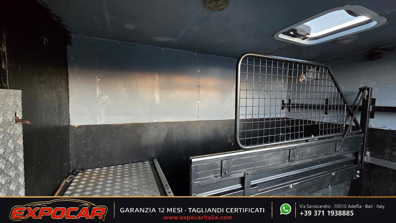 Iveco Daily - Trasporto Cavalli