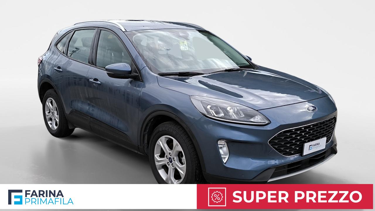 FORD Kuga III 2020 - Kuga 2.0 ecoblue mhev Connect 2wd 150cv