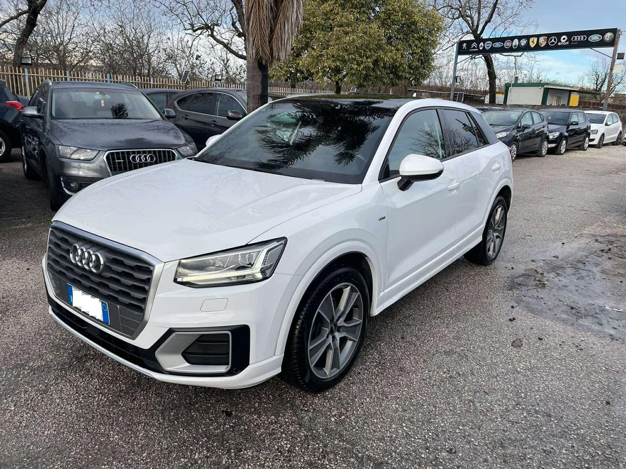 Audi Q2 1.6 TDI S-Line S-Tronic - 2017 - TETTO