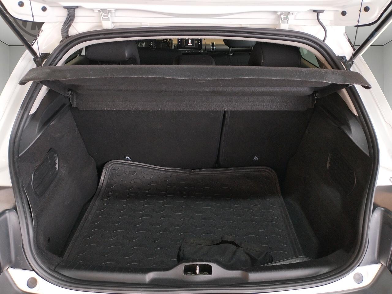 Citroen C4 Cactus 1.6 bluehdi Shine 100cv